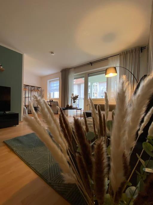 Design, Hochschule, Wildpark, Zentral, Waipu Tv, Netflix Apartment Pforzheim Ngoại thất bức ảnh