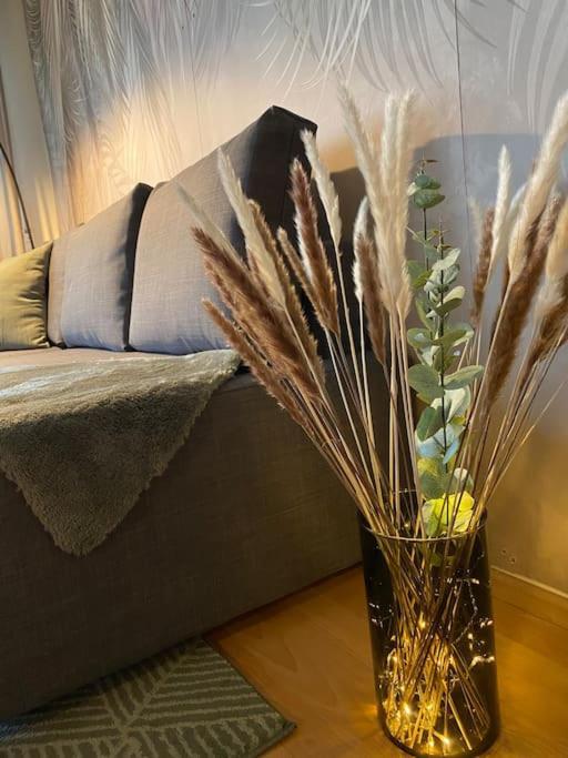 Design, Hochschule, Wildpark, Zentral, Waipu Tv, Netflix Apartment Pforzheim Ngoại thất bức ảnh