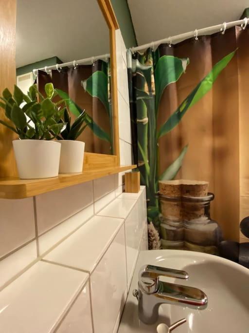 Design, Hochschule, Wildpark, Zentral, Waipu Tv, Netflix Apartment Pforzheim Ngoại thất bức ảnh